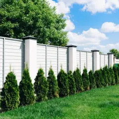 Nowe ogrodzenie granica działki, które ma chronić przed złym sąsiadem. Wzdłuż płotu rosną cyprysiki.
